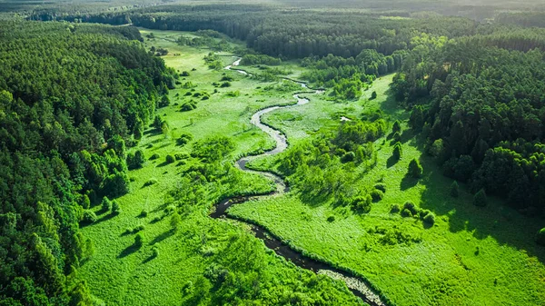 Маленькая Речка Лес Летом Вид Воздуха Польша — стоковое фото