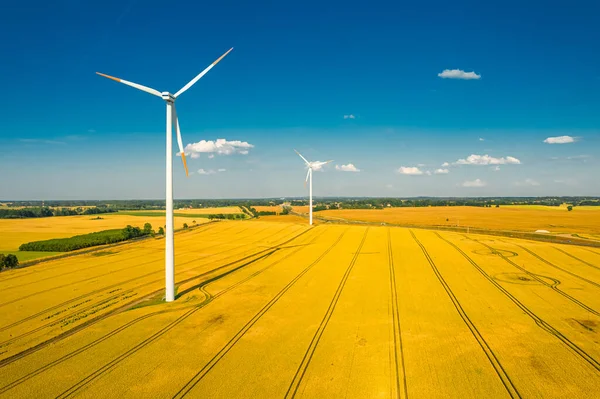 波兰夏季的金色田野和风力涡轮机 从上方看 — 图库照片