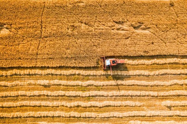 Top View Red Harvester Field Summer Poland — Stock Photo, Image