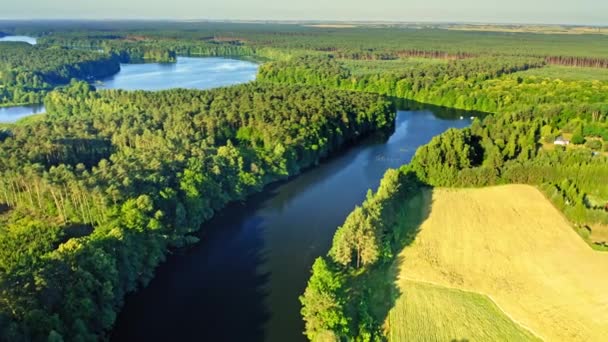 Блакитні річки й зелені ліси на світанку в Польщі. — стокове відео