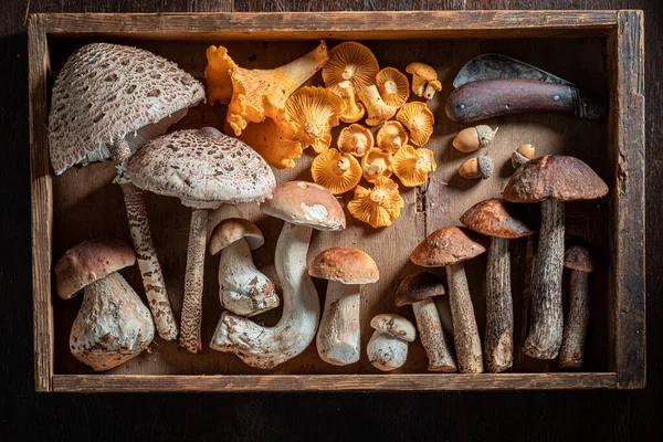 Mix of various mushrooms in wooden box on wooden table