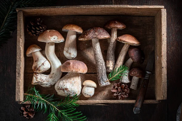 Cogumelos Silvestres Comestíveis Selvagens Coletados Outono Mesa Madeira — Fotografia de Stock