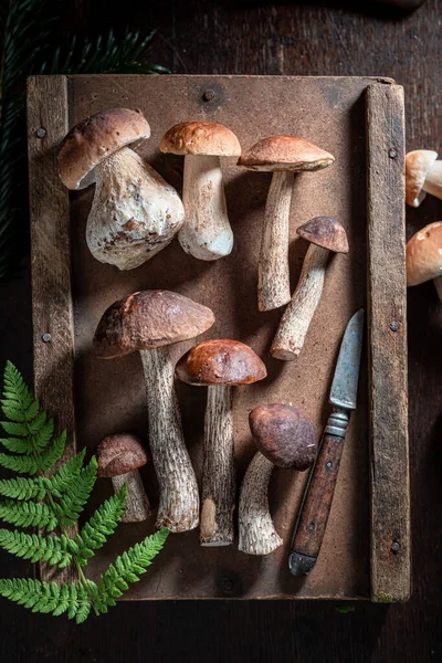 Cogumelos Silvestres Frescos Selvagens Coletados Outono Mesa Madeira — Fotografia de Stock