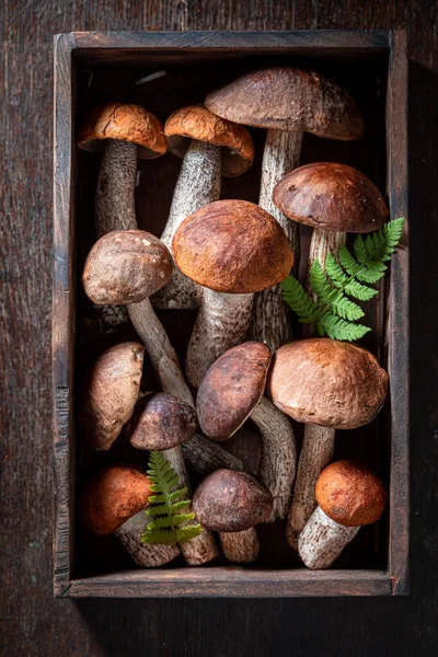 Cogumelos Silvestres Frescos Selvagens Diretamente Floresta Mesa Madeira — Fotografia de Stock