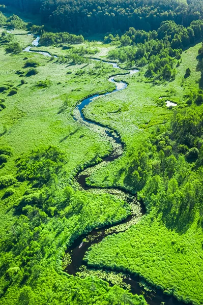 Fantastiska Flod Och Gröna Träsk Sommaren Flygutsikt Polen — Stockfoto