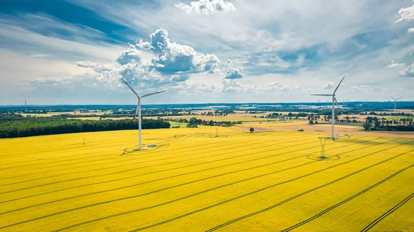 Aerial View Wind Turbines Golden Field Aerial View Poland — Stock Photo, Image