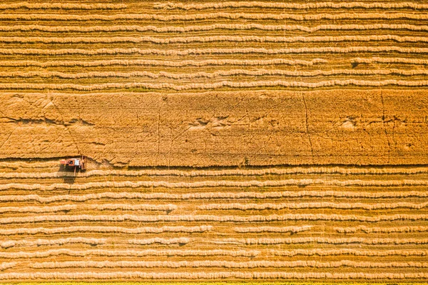 Vista Aérea Colheitadeira Vermelha Campo Verão Polônia — Fotografia de Stock