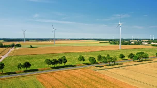 Вид с воздуха ветряных турбин на летнем поле в Польше — стоковое видео