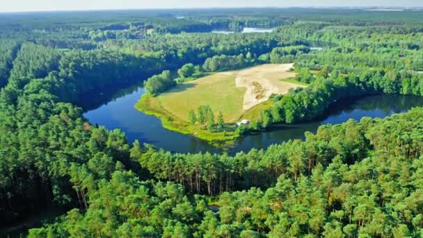 Flygfoto över slingrande flod och gröna skogar på sommaren — Stockvideo