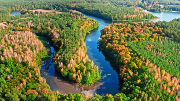 Floresta de outono colorida e rio sinuoso ao pôr do sol, vista aérea — Vídeo de Stock