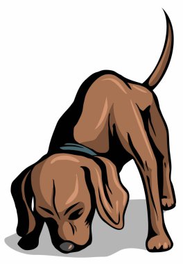 Köpek toprak sniff, vektör görüntü, beyaz arka planda izole.
