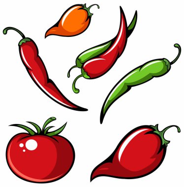 Bir dizi sebze, biber seti. Domates, kırmızı ve yeşil biber, Habanero. Vektör Illustration, beyaz arka planda yalıtılmış.