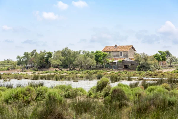 A lost and abandoned house in the swamp of Camargue, Provence, France