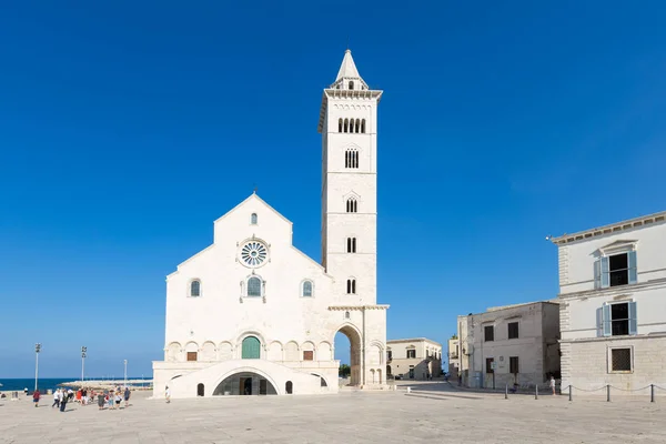 Kathedraal Van Trani Puglia Italië Stockfoto