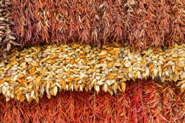 Biber farklı asılı türleri