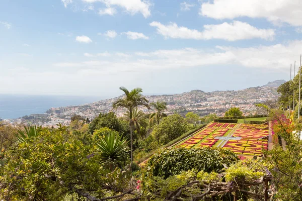 Panorama botanické zahrady a Funchal na Madeiře — Stock fotografie