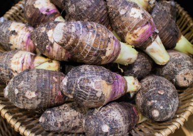 Organik çiğ taro kök süpermarkette, sağlıklı gıda kavramı sepet.