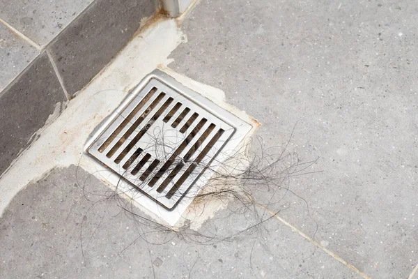 Hair loss clogging drain after bathing in restroom. Alopecia disorder or symptom of patients who got chemotherapy for cancer treatment.