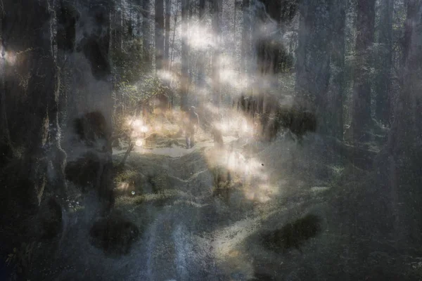 夢のような森のファンタジーのシーン テクスチャ オーバーレイを作成 — ストック写真