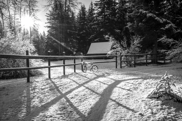 Scène Neige Alaska Rural Avec Coup Soleil Projetant Des Ombres — Photo