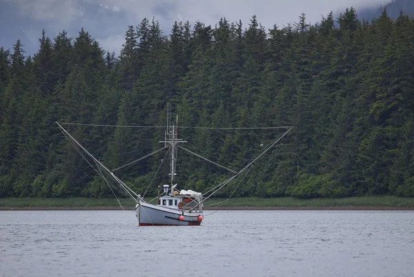 Pequeno Barco Pesca Salmão Uma Enseada Protegida Sudeste Alasca Verão — Fotografia de Stock