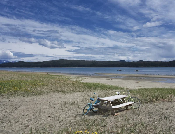 夏に南東アラスカのビーチでピクニック テーブルにもたれてレトロ自転車 — ストック写真