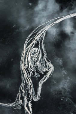 Yüzen deniz yosunu soyut