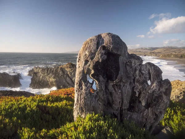 View on the California coast — Stock Photo, Image