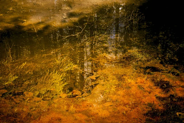 Reflexões vívidas da lagoa — Fotografia de Stock