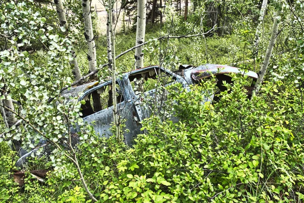 Wrecked car in aspen forest — Stock Photo, Image