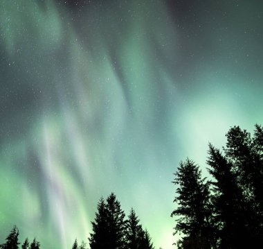 Güneydoğu Alaska 'da Aurora Borealis ışık gösterisi