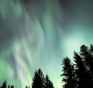 Aurora Borealis light show in Southeast Alaska clipart