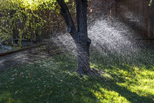 Sprinklers in a suburban yard in summer — Stock Photo, Image