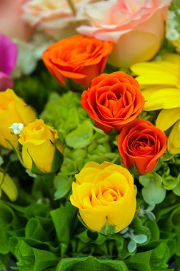 Güzel yaratıcı buket çiçek. Doğa arka plan.