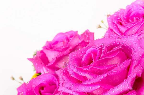 Beautiful Creative Bouquet Flowers Nature Background — Stock Photo, Image