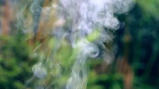 Fumaça Subindo Redemoinhos Com Fundo Bokeh Natureza Verde — Vídeo de Stock