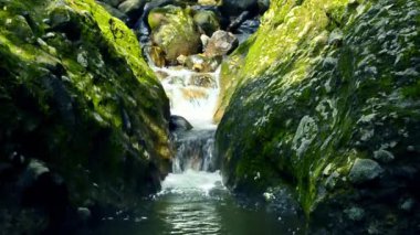 Ormanda gizli şelale. Kayalardan düşen küçük dere ve su.