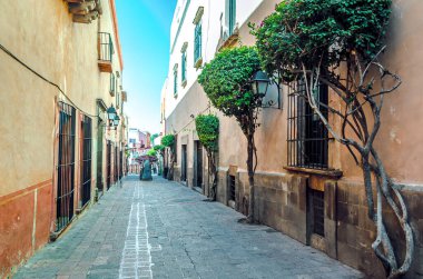 Queretaro, Meksika 'da eski bir kasaba caddesi.