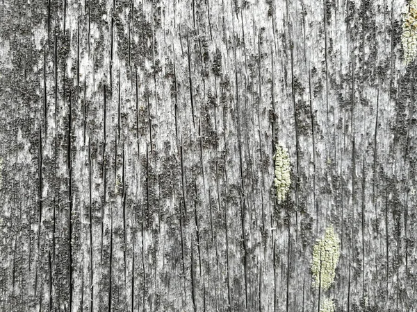 Hög Upplösning Gamla Naturliga Trä Texturer — Stockfoto