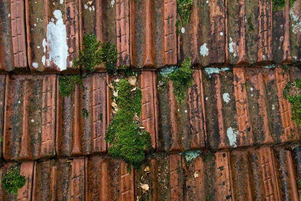 Grunge tuğla duvar. Arka plan