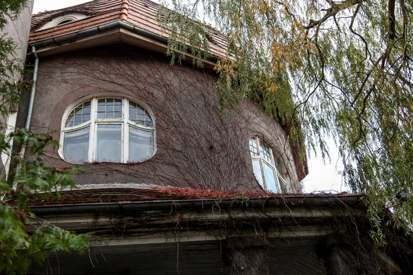 Haus Mit Pflanzen Haus — Stockfoto