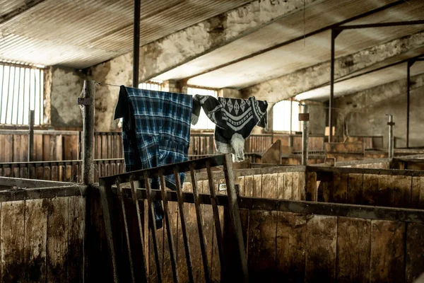 Загоны Скота Сарае Клетки Скота Ферме — стоковое фото
