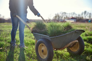 Sıcak ceketli bir kadın, çöplükte el arabası kullanıyor. Çim ekim süreci ve bahçe arsa inme