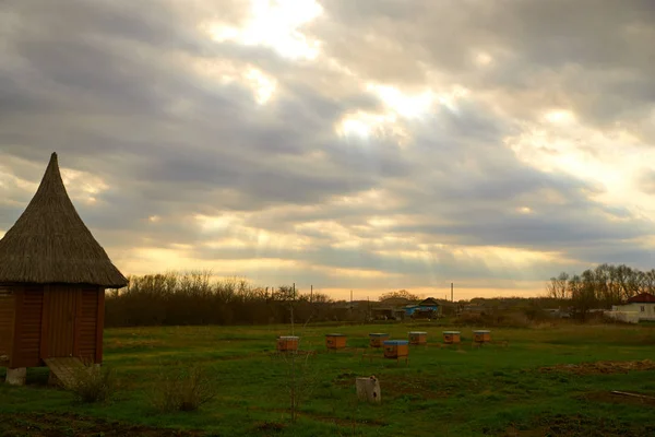 Bright landscape of green meadow with bee houses and sunlight breaking through the clouds — Stock Photo, Image