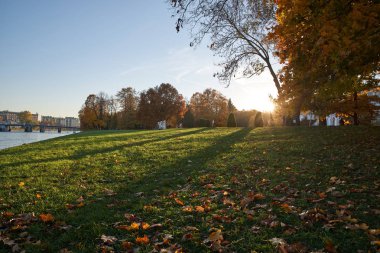 Saint-Petersburg'da sonbahar, göle yakın güzel şehir parkı. Güneşli parkın sonbahar manzarası. Yumuşak ışıkta sonbahar ağaçları ve gölet ile şehir parkı