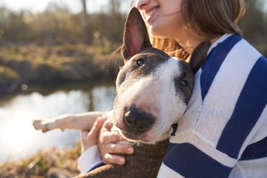 Bir alan arka plan üzerinde bir boğa Terrier köpek sarılma çizgili bir kazak giyen güzel bir kadın. Kar beyazı gülümseyen mutlu bir kız güler ve açık havada yürümekten hoşlanır.