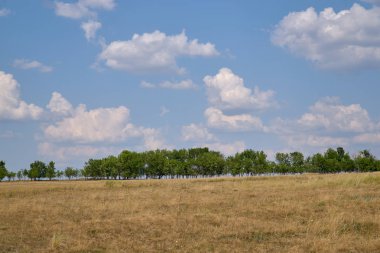 tepeler, ağaçlar, tarlalar, gökyüzü, güneş, bulut manzara