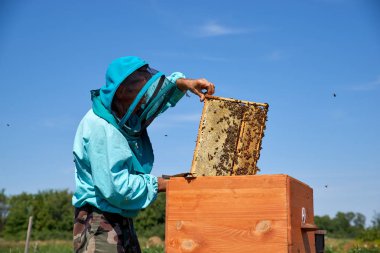 yaşlı adam arıcı petek bal toplar