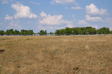 tepeler, ağaçlar, tarlalar, gökyüzü, güneş, bulut manzara
