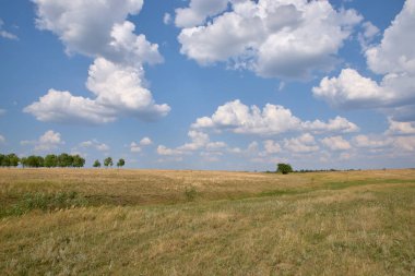 tepeler, ağaçlar, tarlalar, gökyüzü, güneş, bulut manzara